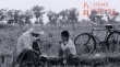 《八月》3月24日上映 或成三月档国产片温暖曙光