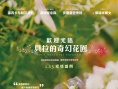 美麗的傳奇