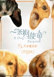 《一條狗的使命》