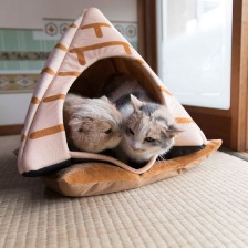 貓咪后院之家