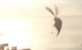 《神奇动物在哪里》删减片段 神奇小虫叛逃