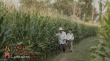 金馬最佳影片《八月》手繪海報 導演張大磊摯筆