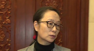 連續(xù)三屆全國人大代表奚美娟：一直為文化事業(yè)發(fā)展奔走