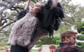 《歌至歌》片段 Lykke Li