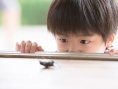 家族時光