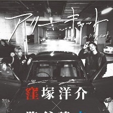 野良貓