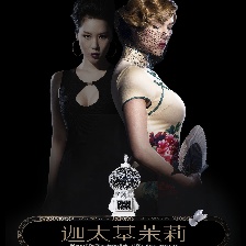 迦太基茉莉