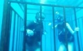 《深海逃生》惊悚版预告片