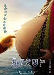 《西游记女儿国》海报 师徒女王世外桃源捉迷藏