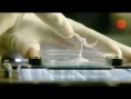 《异星觉醒》公映 杰克·吉伦哈尔对决外星生物