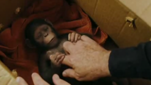 《猩球崛起3》电视宣传片 人猿和平不复存在