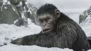 《猩球崛起3：终极之战》预告片 猿族崛起
