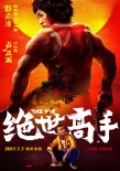 《絕世高手》連曝兩款新海報 范偉陳沖首演情侶