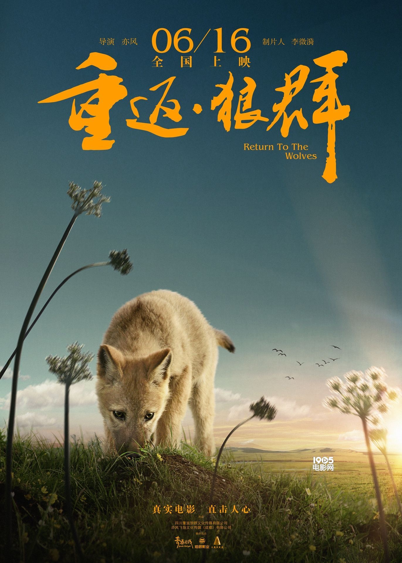 佟丽娅为《重返·狼群》预告献声 称狼妈勇气可嘉