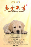 忠爱无言