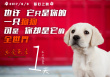 忠爱无言