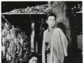 殘菊物語(yǔ)