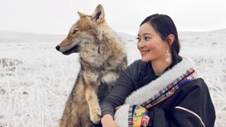 赵忠祥、蓝天野力挺纪录电影《重返·狼群》