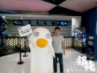 《银魂》吉祥物空降上海电影节 现场萌翻实力圈粉