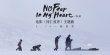 张扬新作《冈仁波齐》首映礼 朴树献唱电影主题曲