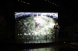 黑鳍上影节公布新动向 将开展海外销售与发行业务