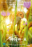 地球：神奇的一天