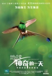 《地球》新角色海報(bào) “蜂鳥大戰(zhàn)蜜蜂”片段曝光