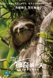《地球》新角色海報 “蜂鳥大戰(zhàn)蜜蜂”片段曝光