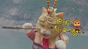 《喵星人》小劇場(chǎng)