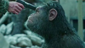 《猩球崛起3》推新人 诺兰《敦刻尔克》国内定档