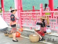 阿婆的槟榔
