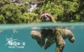 《地球：神奇的一天》在京發(fā)布 成龍配音足不出戶