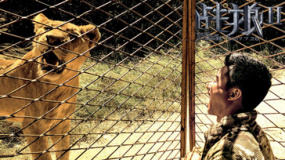 《战狼2》非洲拍摄之挑战 吴京遭遇最凶拍摄对象