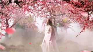 史航称周迅更适合演《三生三世十里桃花》女主角