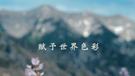《全民體育快樂生活》預(yù)告片