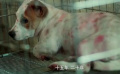 《我是誰的寶貝》預(yù)告片1