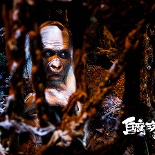 鮫珠傳