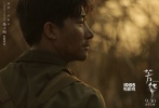 鐘楚曦飾演的蕭穗子以故事講述者的身份出現(xiàn)，親歷了何小萍與其他團(tuán)員發(fā)生的多起沖突，也見證了劉峰的命運(yùn)起伏。楊采鈺飾演的文工團(tuán)獨(dú)唱演員林丁丁深受包括劉峰在內(nèi)的男兵歡迎，但她與劉峰之間發(fā)生的誤會，卻引發(fā)了文工團(tuán)的一系列事件。幾個(gè)年輕人雖同處“芳華之時(shí)”，卻因出身、性格的不同產(chǎn)生了一系列的愛恨糾葛。