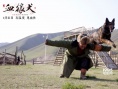 《血狼犬》蒙特利尔获银奖 中国西部电影扬威国际