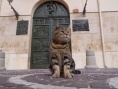 岩合光昭的猫步走世界