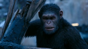 《猩球崛起3：终极之战》中国独家预告片