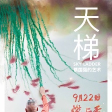 天梯：蔡國(guó)強(qiáng)的藝術(shù)