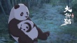大熊猫传奇