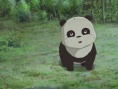 大熊猫传奇