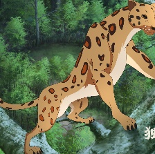 大熊貓傳奇