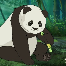 大熊貓傳奇