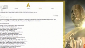第90届奥斯卡最佳外语片名单公布 《战狼2》参选