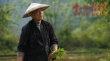 电影《十八洞村》今日上映 行走于天地洞见人生