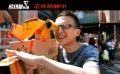 大鵬《縫紉機(jī)樂隊(duì)》“了不起”特輯