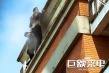 《巨额来电》曝雌雄大盗特辑 张孝全桂纶镁迷失